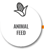 Animal feed