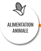 Alimentation animale