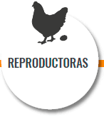 Reproductoras