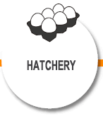Hatchery