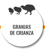 Granjas de crianza
