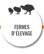 Fermes d'élevage