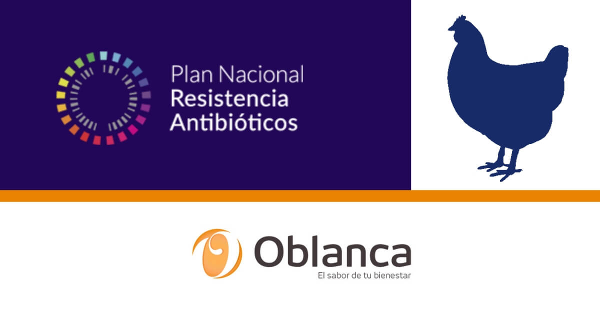 Grupo Oblanca Plan Reduce Pollos Resistencia Antibioticos Programa Reduce Organización Interprofesional de la Avicultura de Carne de Pollo de España (PROPOLLO)